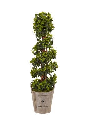 English Ivy Tree in Farmhouse Planter  Indoor/Outdoor