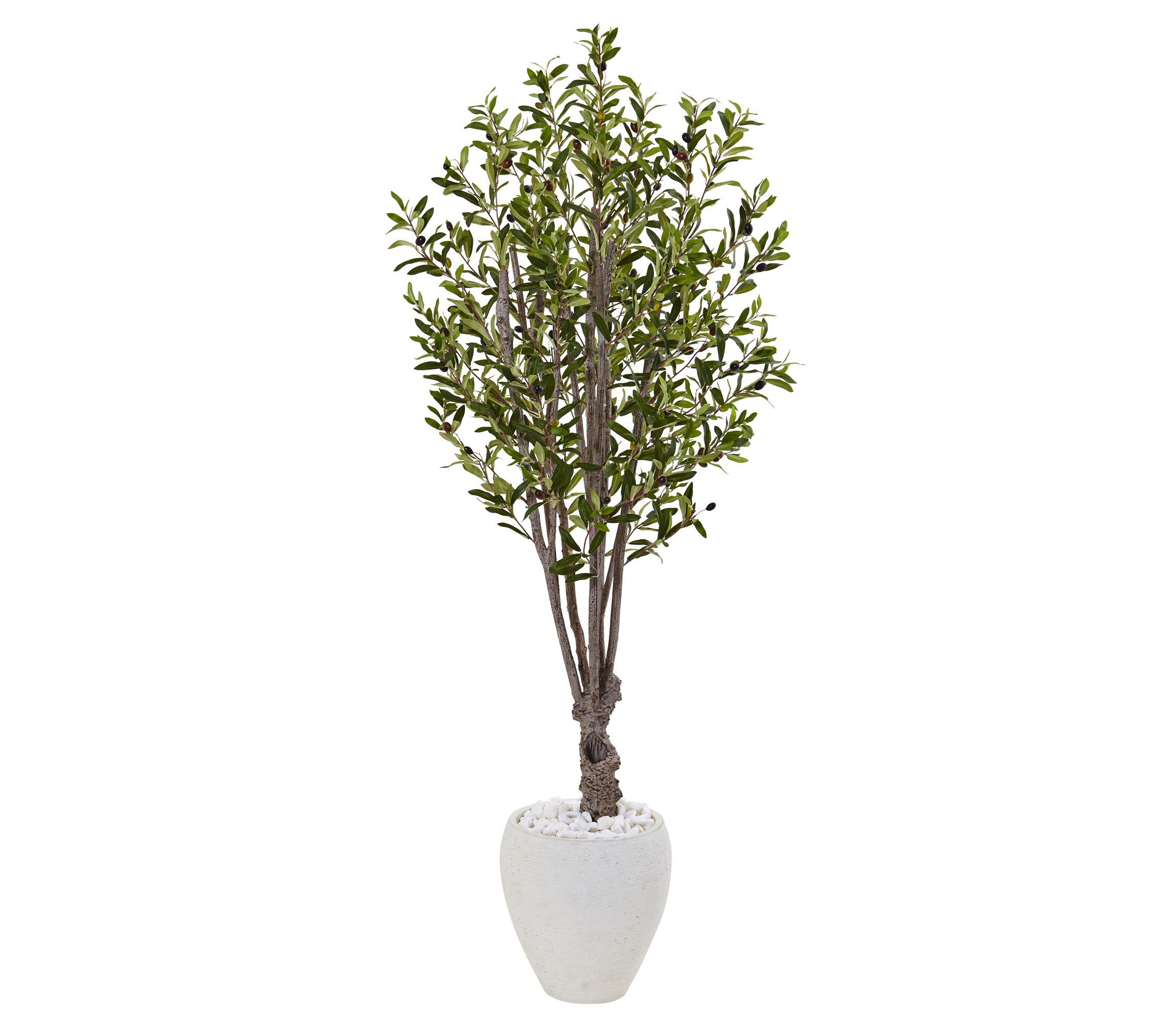 5-Foot Olive Artificial Tree in White Oval Planter
