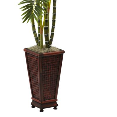 6.5' Areca with Decorative Planter