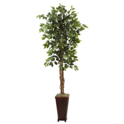 Nearly Natural 6.5 Foot Ficus with Decorative Planter, Green