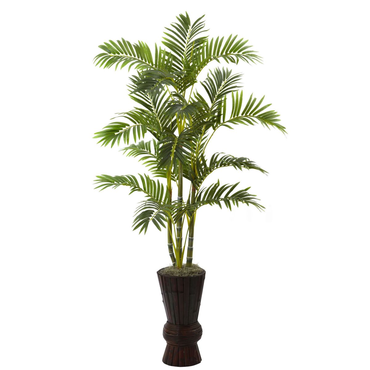 62 Areca Tree with Decorative Planter
