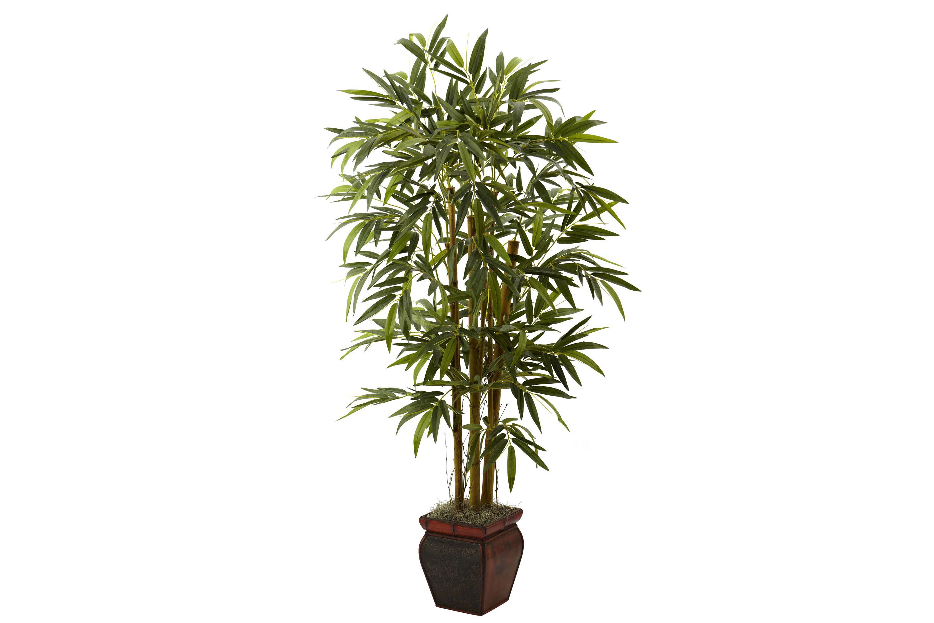 5.5 Bamboo with Decorative Planter