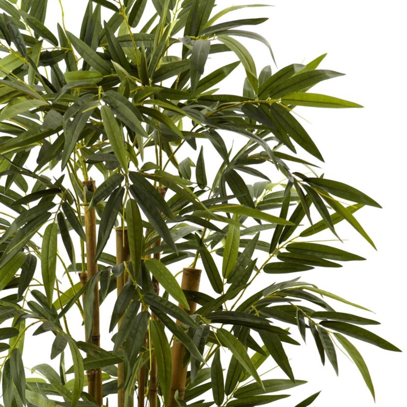 5.5 Bamboo with Decorative Planter