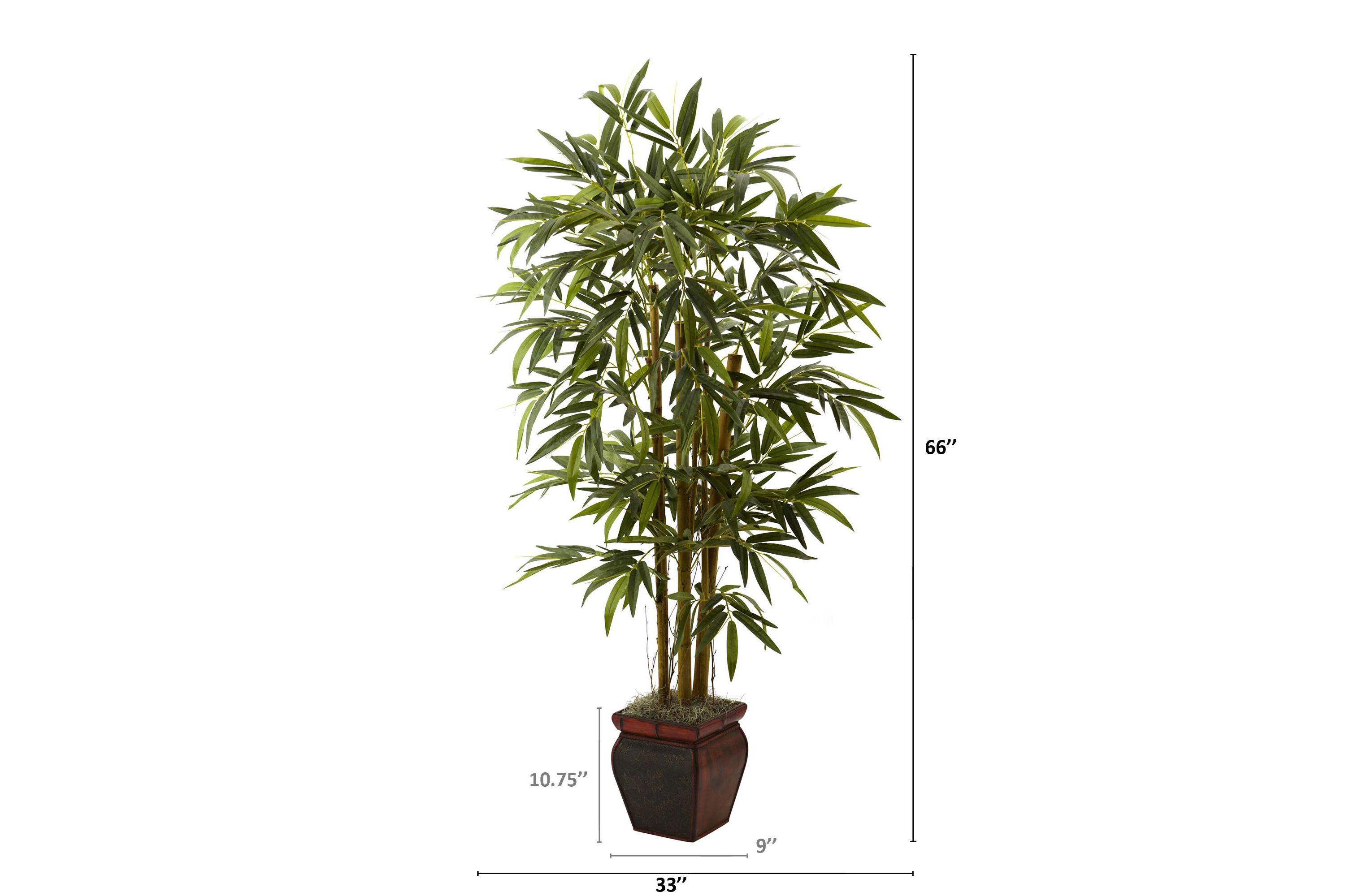 5.5 Bamboo with Decorative Planter