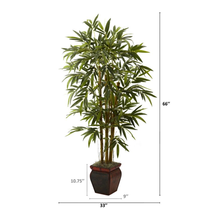 5.5 Bamboo with Decorative Planter