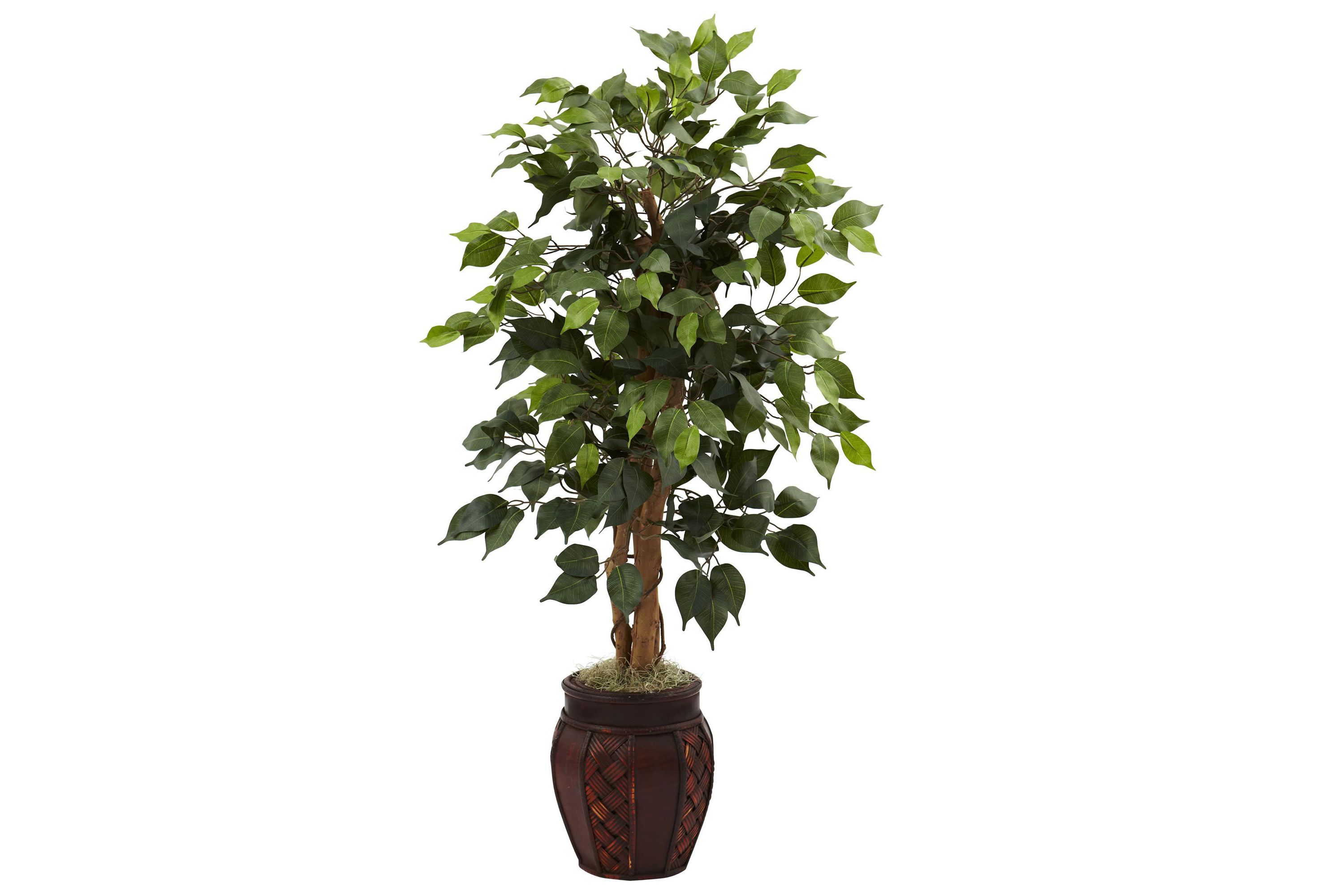 44-Inch Ficus Tree with Decorative Planter