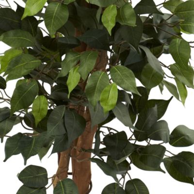 44-Inch Ficus Tree with Decorative Planter