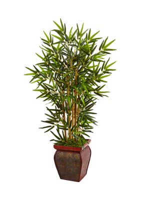Bamboo Tree in Wooden Decorative Planter