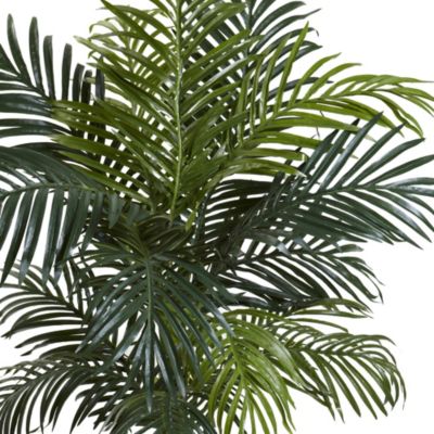 4.5-Foot Golden Cane Palm with Decorative Container
