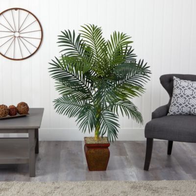 4.5-Foot Golden Cane Palm with Decorative Container