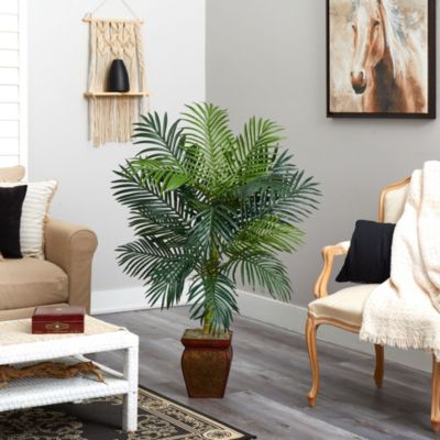 4.5-Foot Golden Cane Palm with Decorative Container