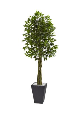 Nearly Natural Ficus Tree with Slate Planter, Indoor/Outdoor, Green