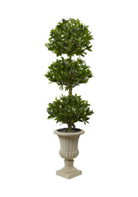 Triple Bay Leaf Topiary Tree in Urn  Indoor/Outdoor