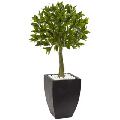 Nearly Natural 42-Inch Bay Leaf Topiary with Black Wash Planter UV Resistant (Indoor/Outdoor), Green