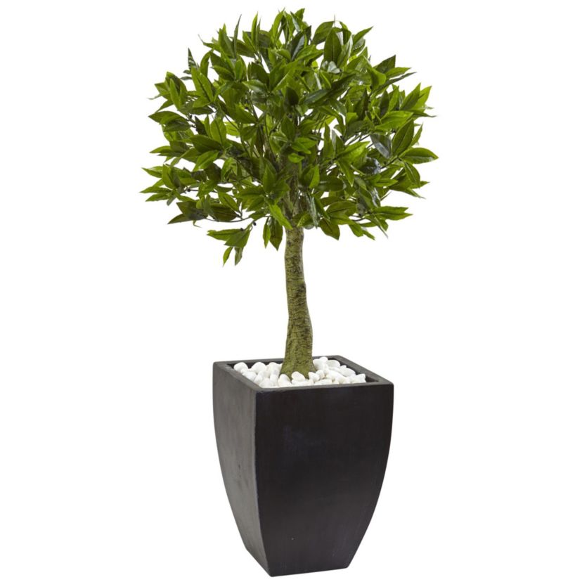 42-Inch Bay Leaf Topiary with Black Wash Planter UV Resistant (Indoor/Outdoor)