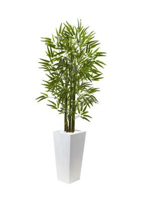 Bamboo Tree with Planter,  Indoor/Outdoor