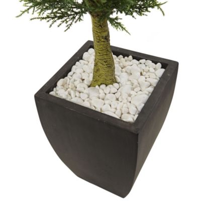 4.5-Foot Cypress Topiary with Black Planter, UV Resistant (Indoor/Outdoor)