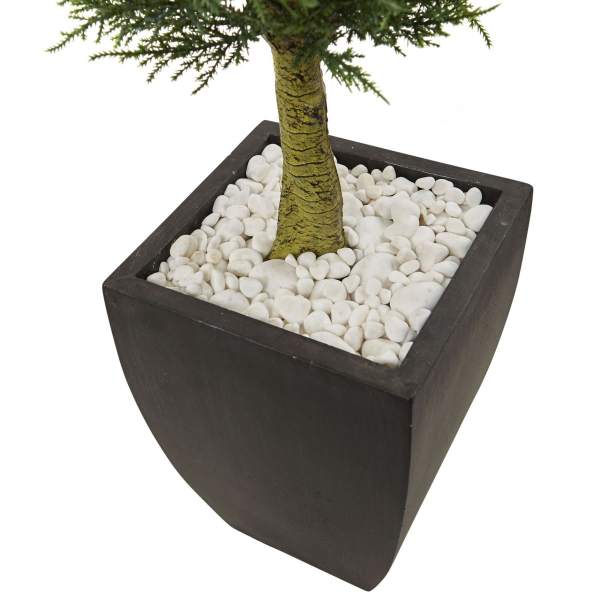 4.5-Foot Cypress Topiary with Black Planter, UV Resistant (Indoor/Outdoor)