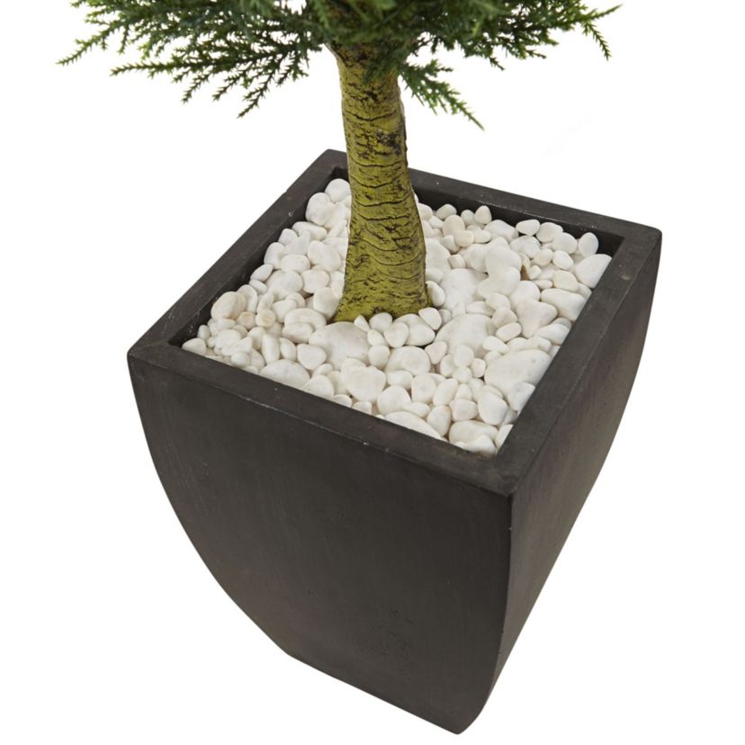 4.5-Foot Cypress Topiary with Black Planter, UV Resistant (Indoor/Outdoor)