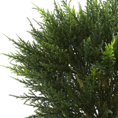 4.5-Foot Cypress Topiary with Black Planter, UV Resistant (Indoor/Outdoor)