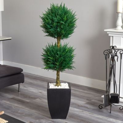 4.5-Foot Cypress Topiary with Black Planter, UV Resistant (Indoor/Outdoor)