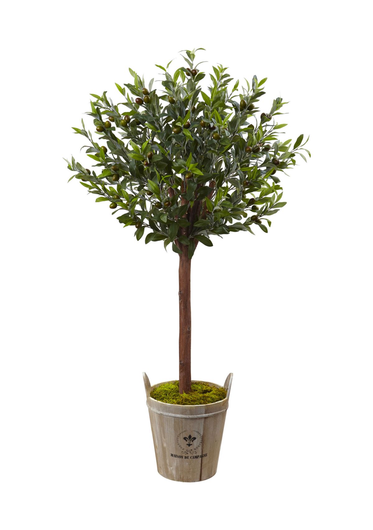 Olive Topiary Tree with European Barrel Planter