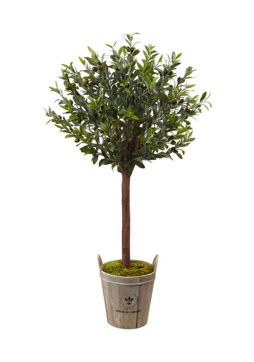 Olive Topiary Tree with European Barrel Planter