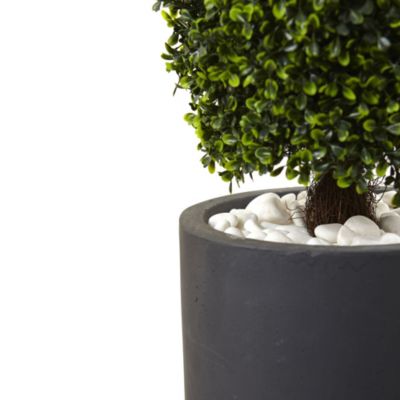50-Inch Boxwood Topiary with Gray Cylindrical Planter UV Resistant (Indoor/Outdoor)