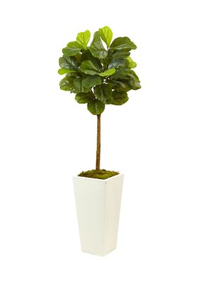 Nearly Natural Fiddle Leaf Fig in White Planter Real Touch, Green