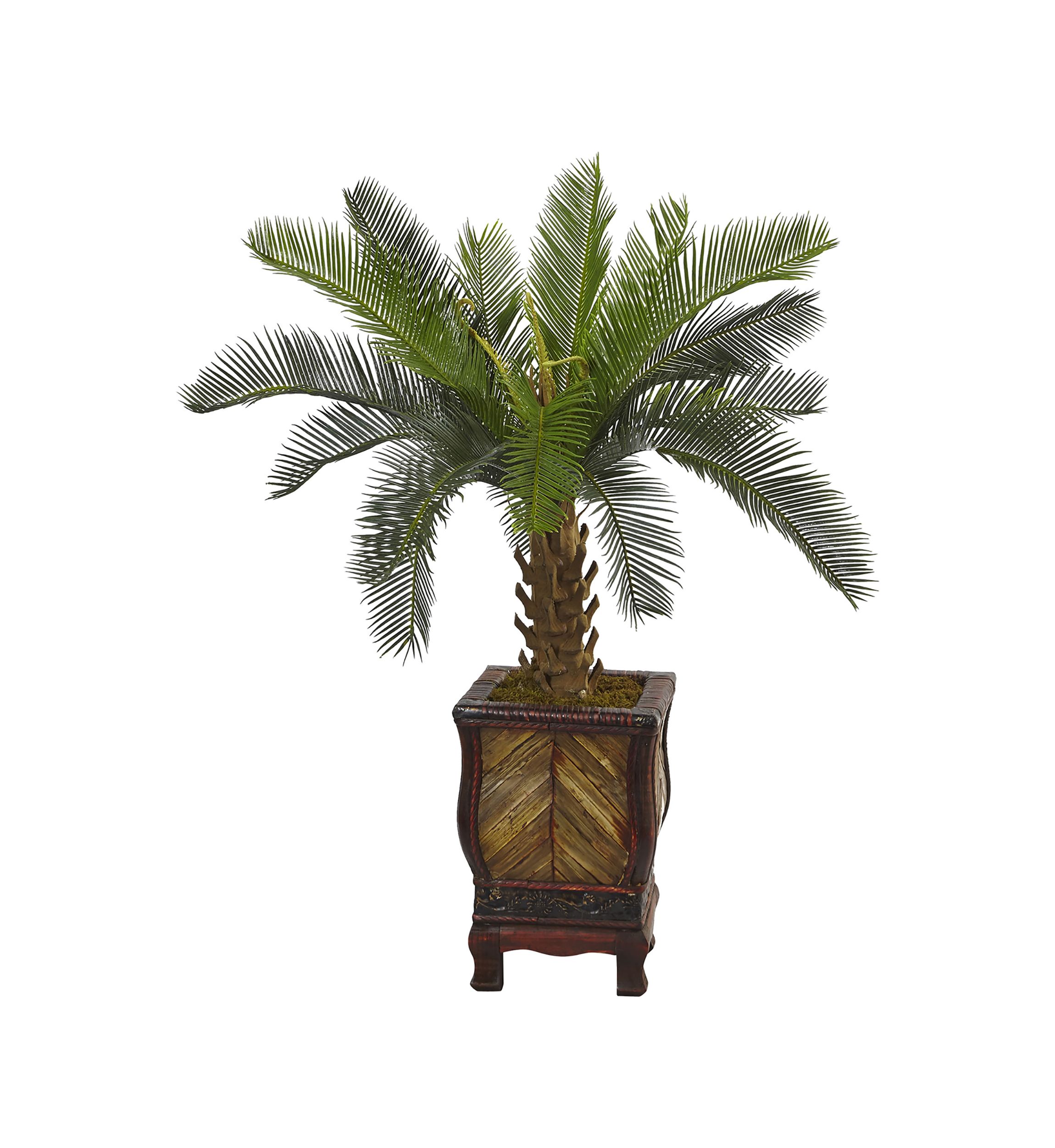 Cycas Tree in Wood Planter