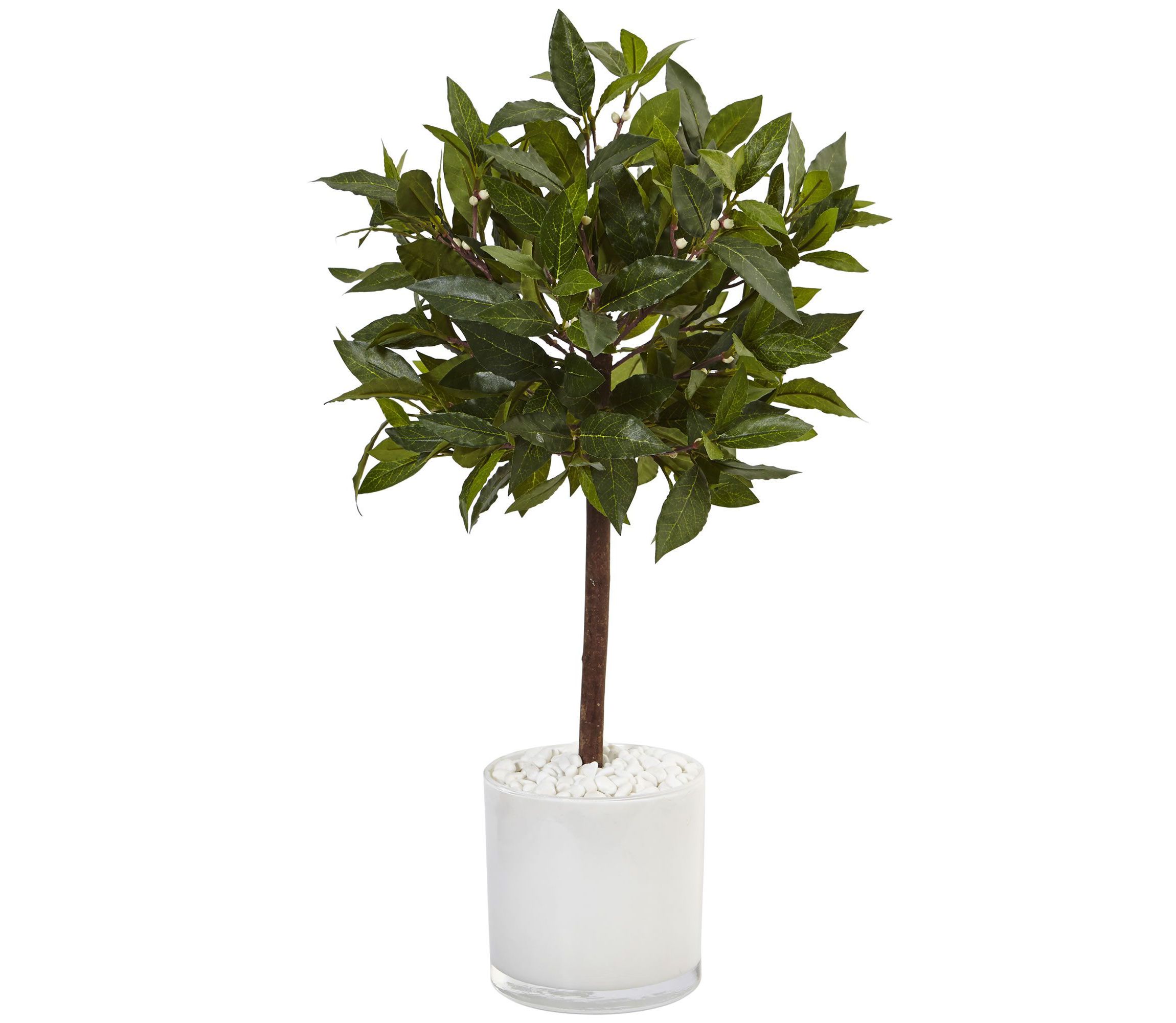 2-Foot Sweet Bay Artificial Tree in White Glossy Cylinder