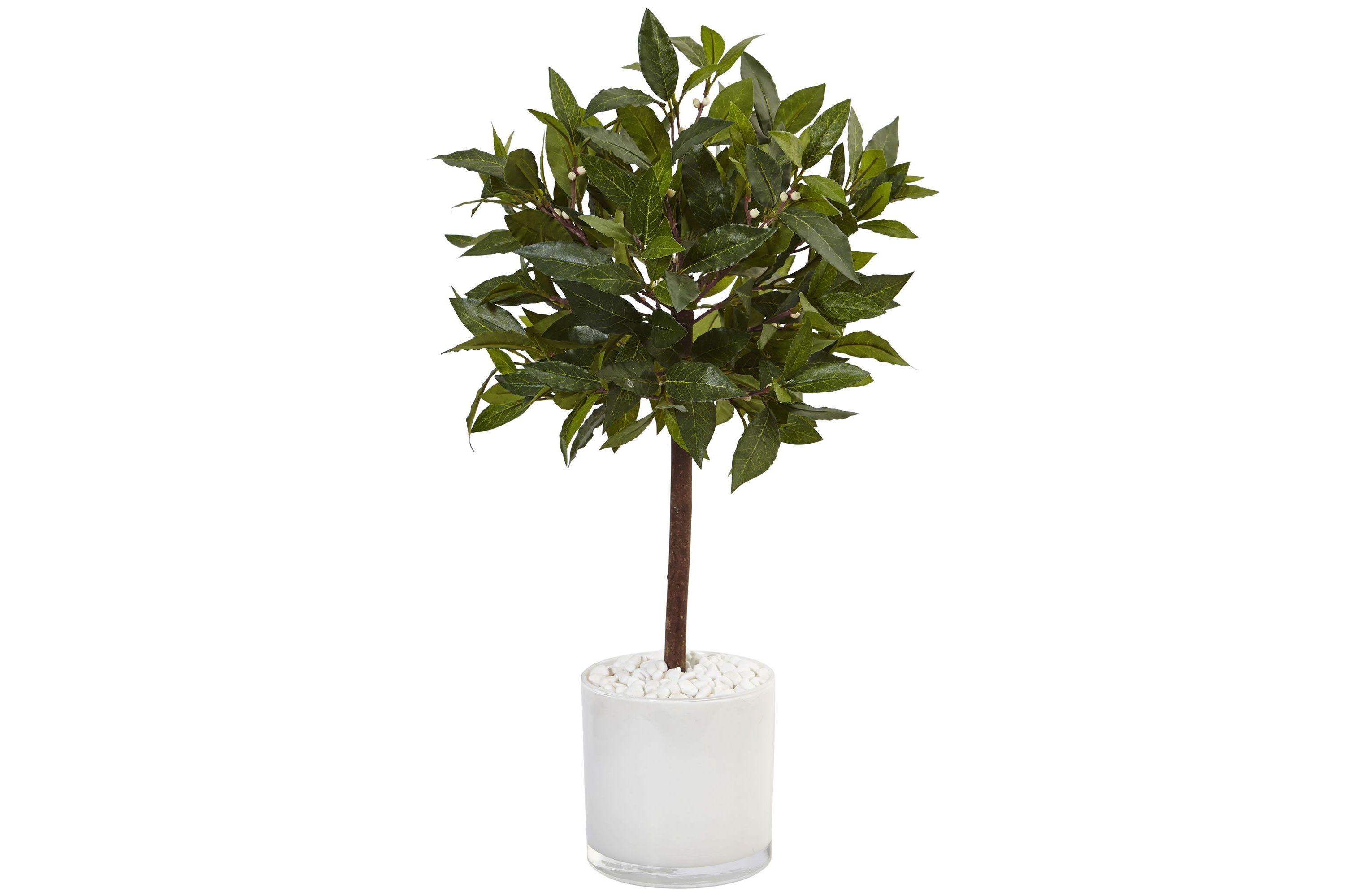 2-Foot Sweet Bay Artificial Tree in White Glossy Cylinder