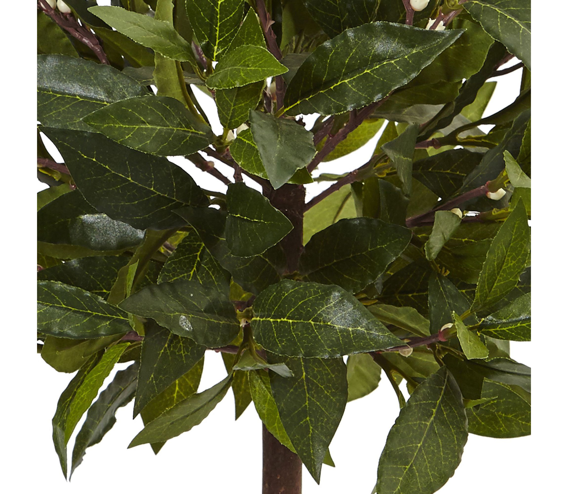 2-Foot Sweet Bay Artificial Tree in White Glossy Cylinder