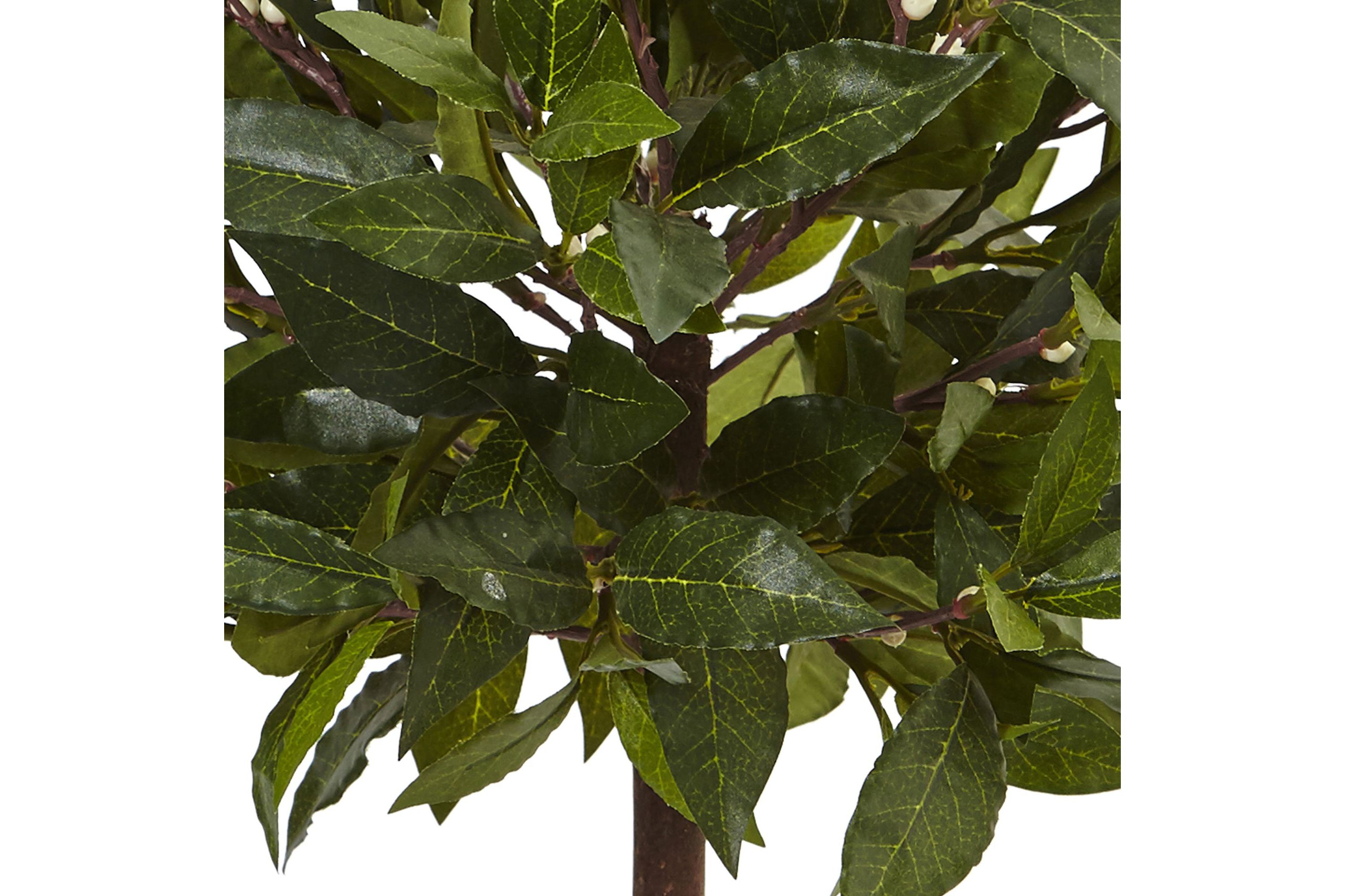 2-Foot Sweet Bay Artificial Tree in White Glossy Cylinder