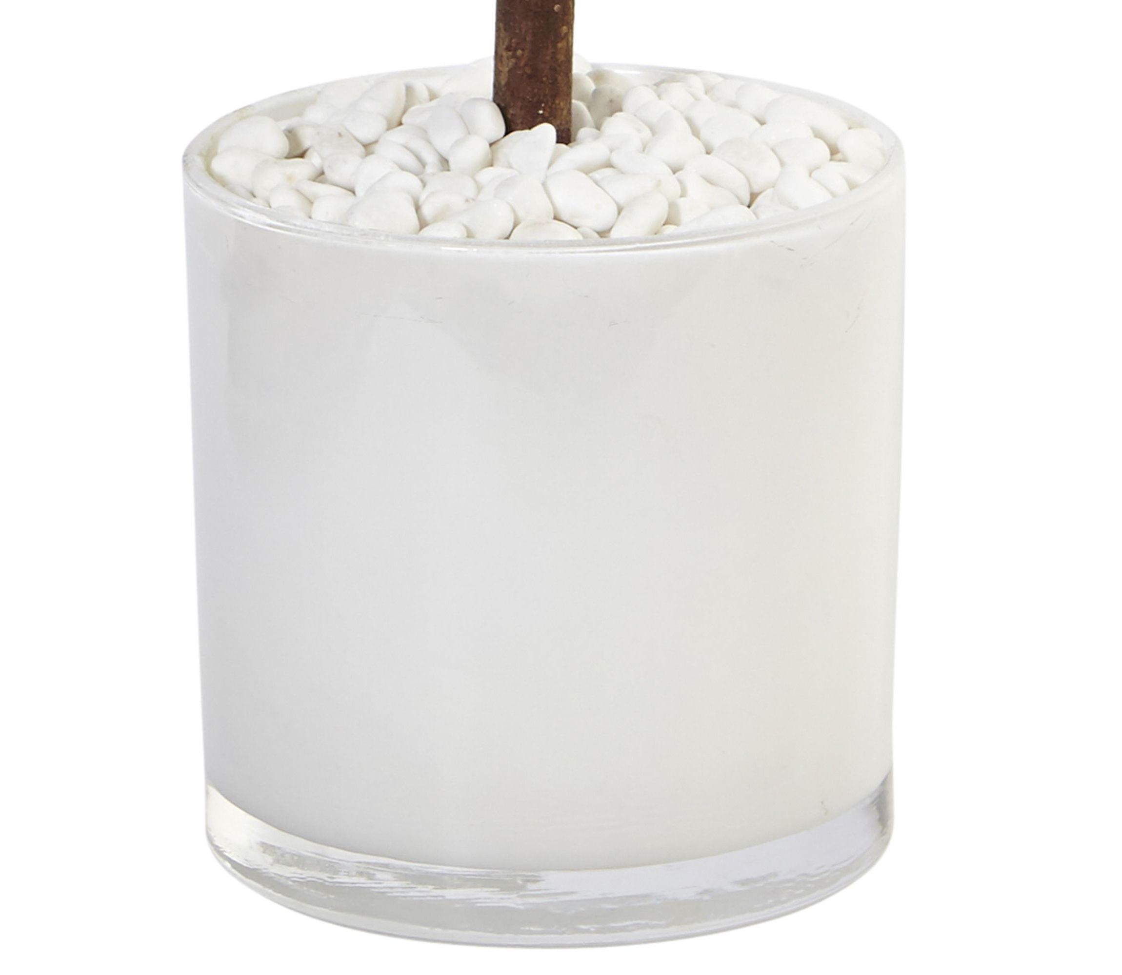 2-Foot Sweet Bay Artificial Tree in White Glossy Cylinder