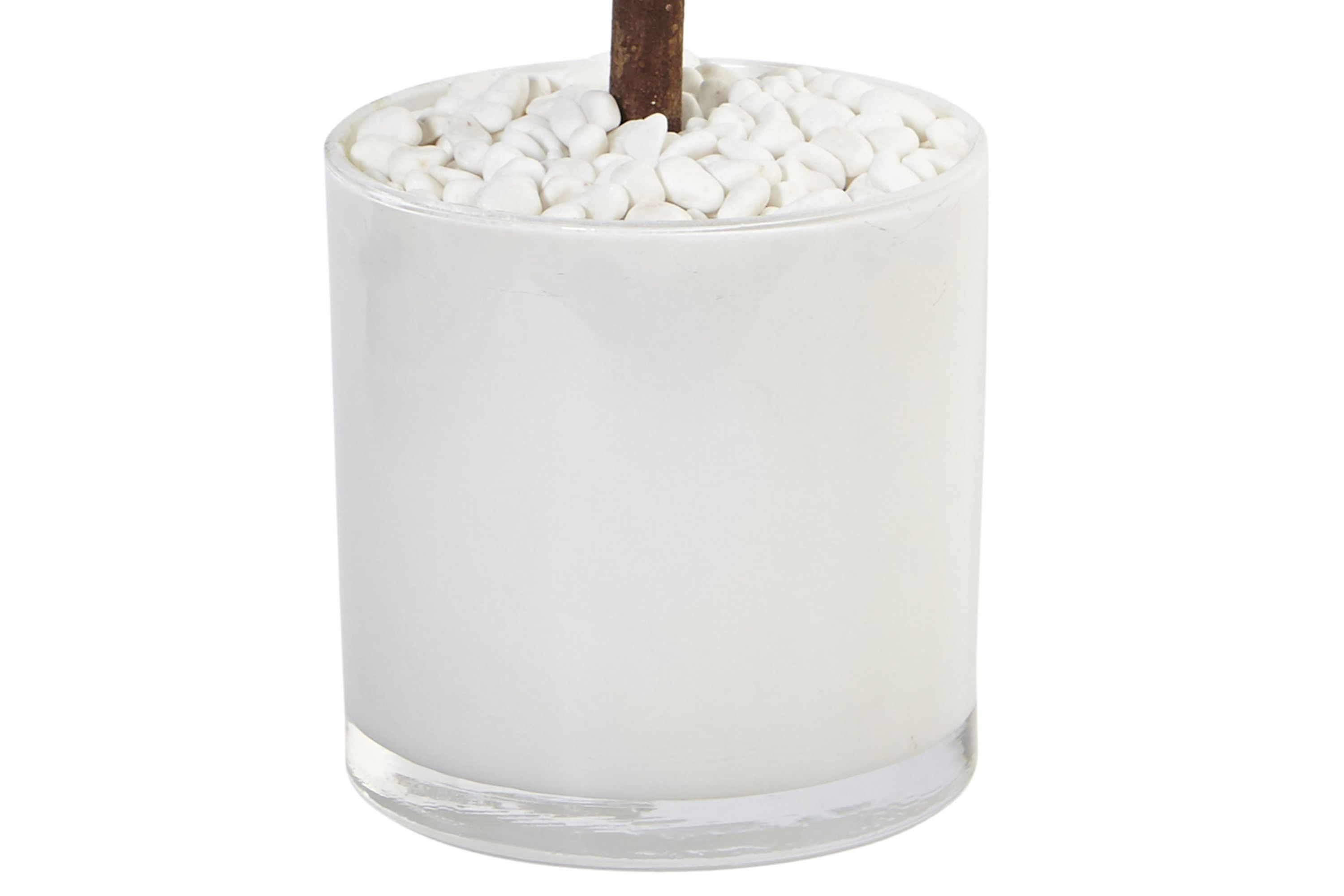 2-Foot Sweet Bay Artificial Tree in White Glossy Cylinder