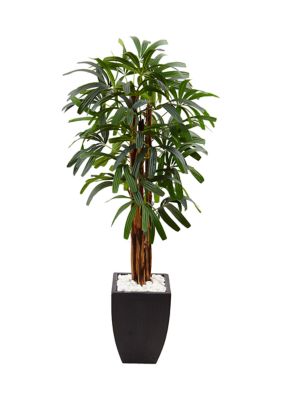 Nearly Natural Raphis Palm Tree in Planter, Green