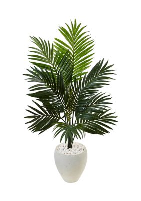 Nearly Natural Kentia Palm Tree in Oval Planter, Green