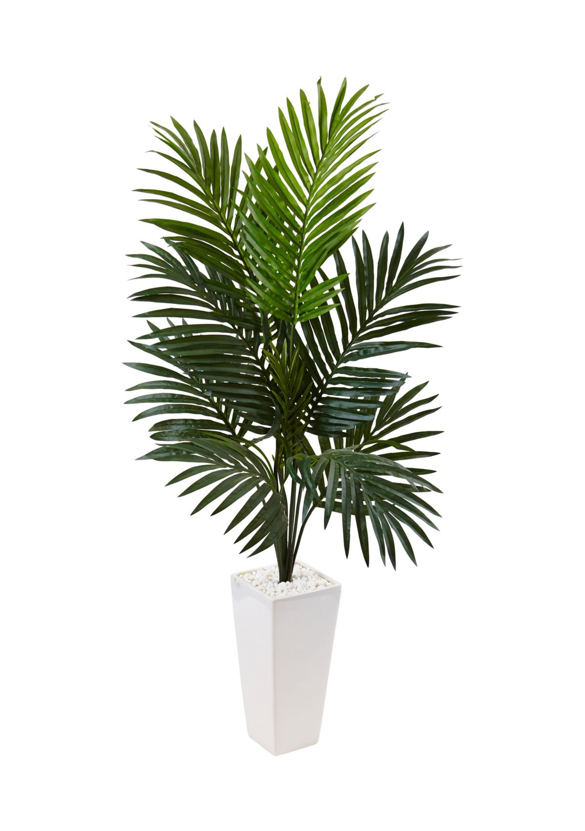 Kentia Palm  Tree in Tower Planter