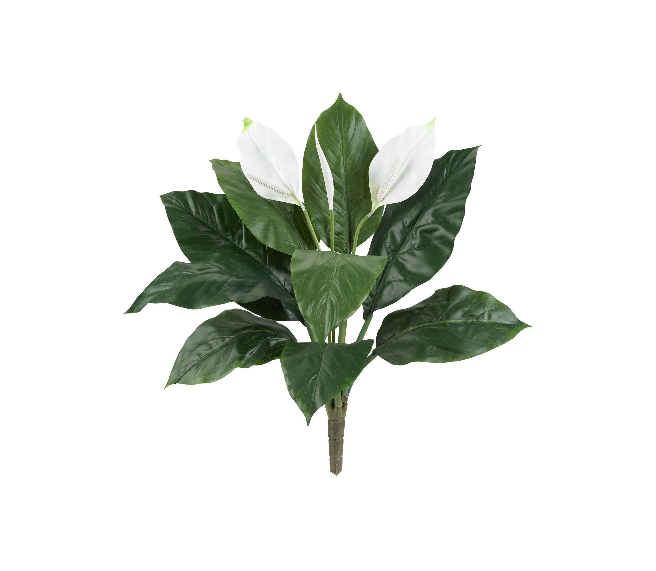 24-Inch Spathiphyllum Artificial Plant (Set of 3)