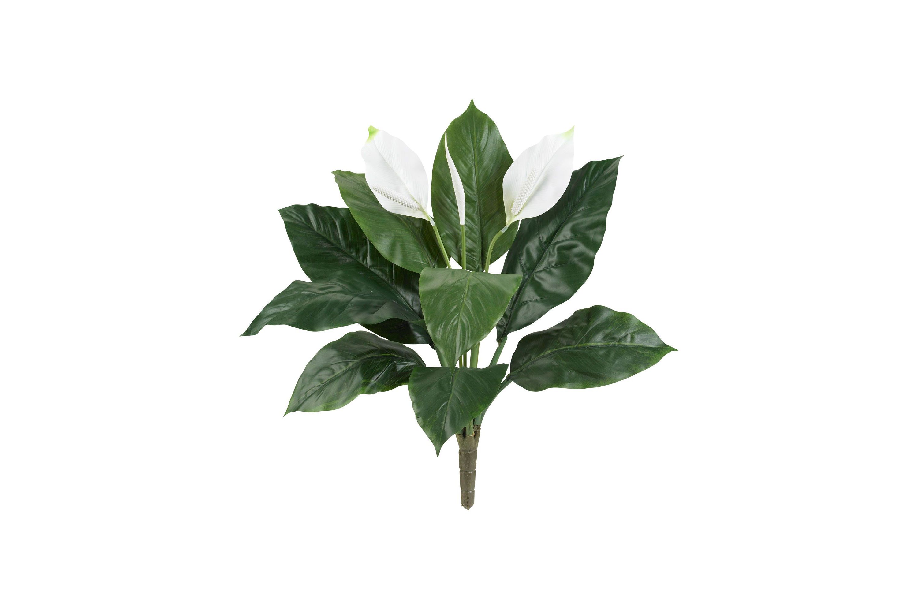 24-Inch Spathiphyllum Artificial Plant (Set of 3)