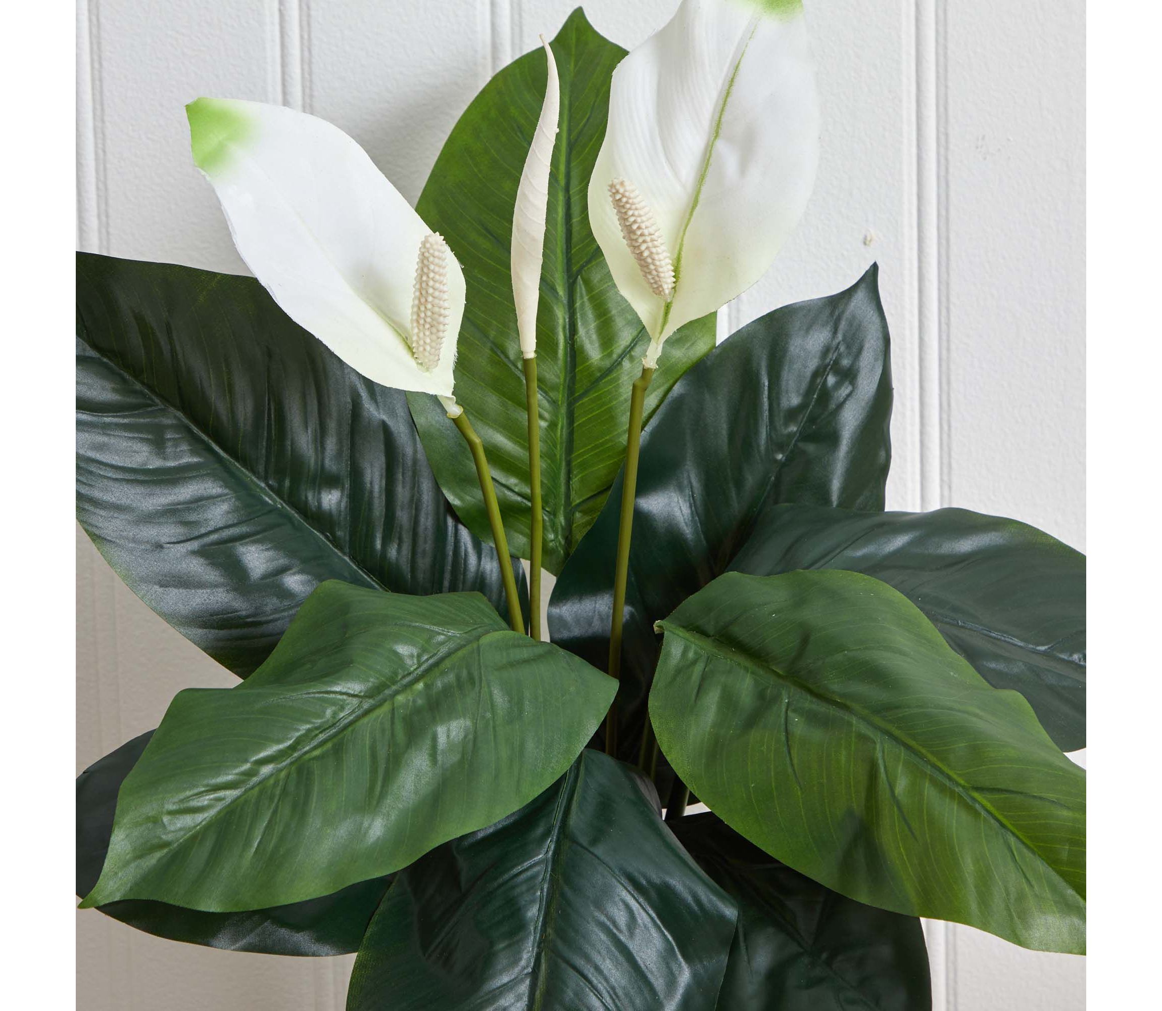 24-Inch Spathiphyllum Artificial Plant (Set of 3)
