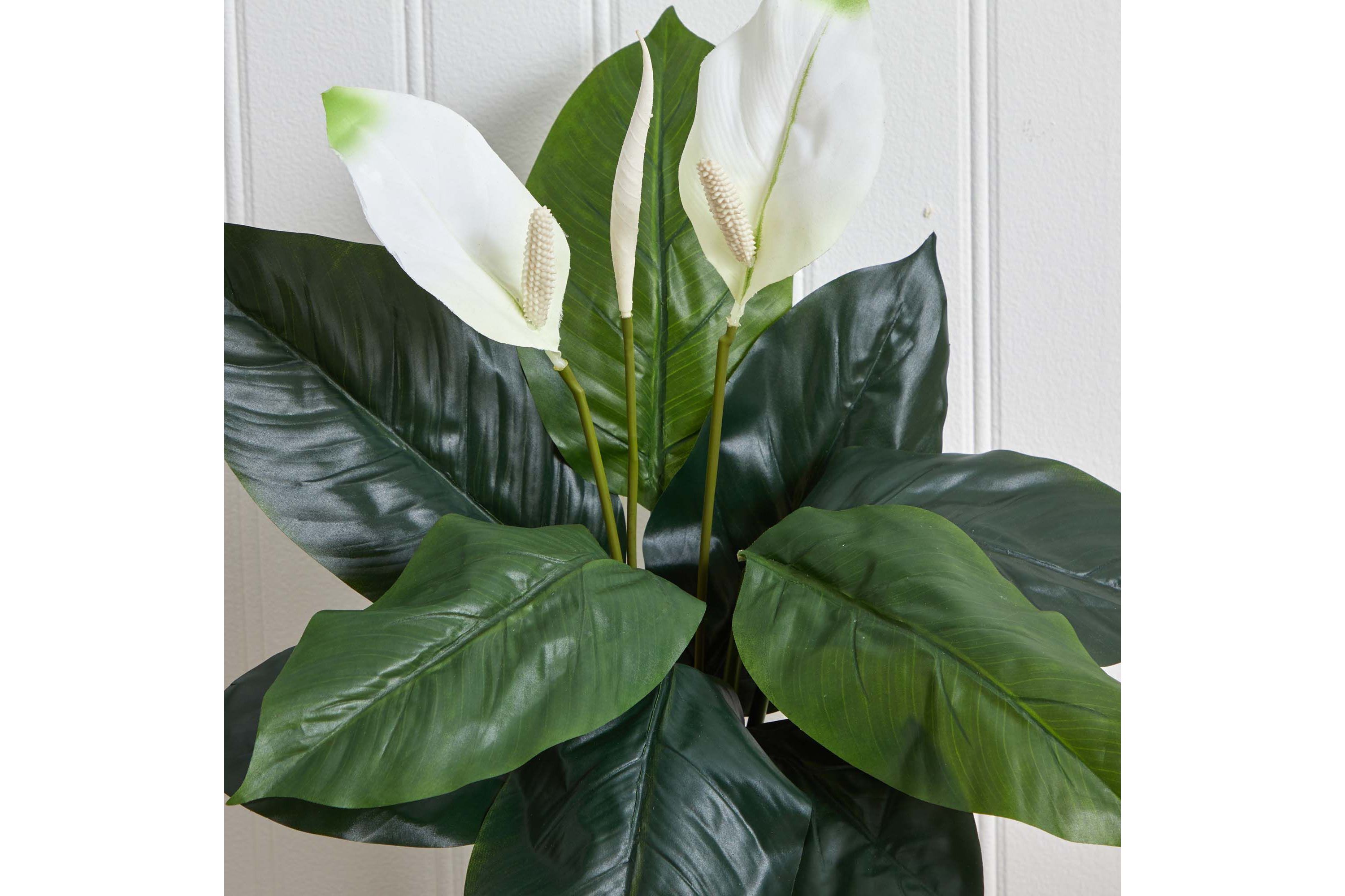24-Inch Spathiphyllum Artificial Plant (Set of 3)