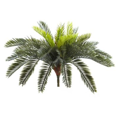 13-Inch Cycas Artificial Plant (Set of 2)