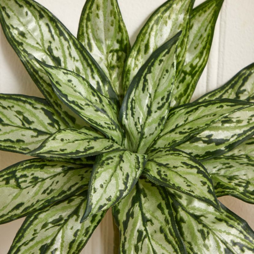 10-Inch Variegated Silver Queen Artificial Plant (Set of 6)