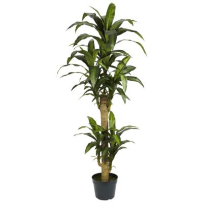 Nearly Natural 5 Foot Yucca Silk Plant, Green