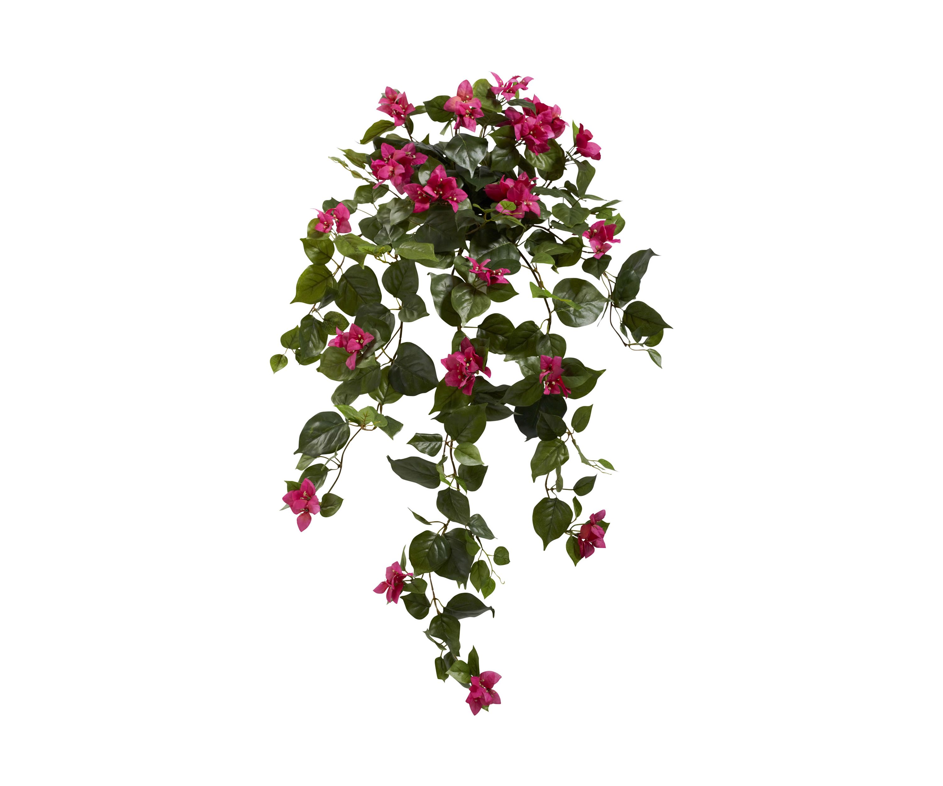 Bougainvillea Hanging  Plant - Set of 2