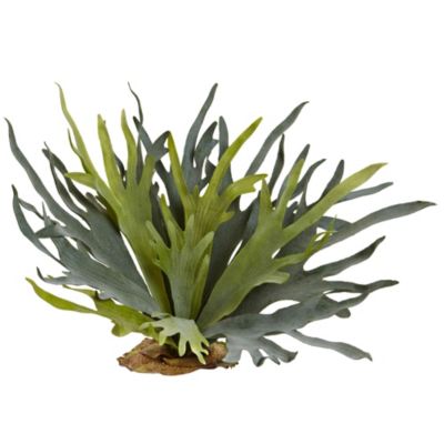 Nearly Natural 21-Inch Staghorn Fern (Set of 2), Green