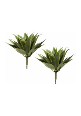 Agave Succulent Plant - Set of 2