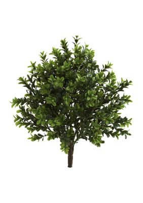 Nearly Natural Sweet Grass Bush Indoor/Outdoor - Set of 6, Green